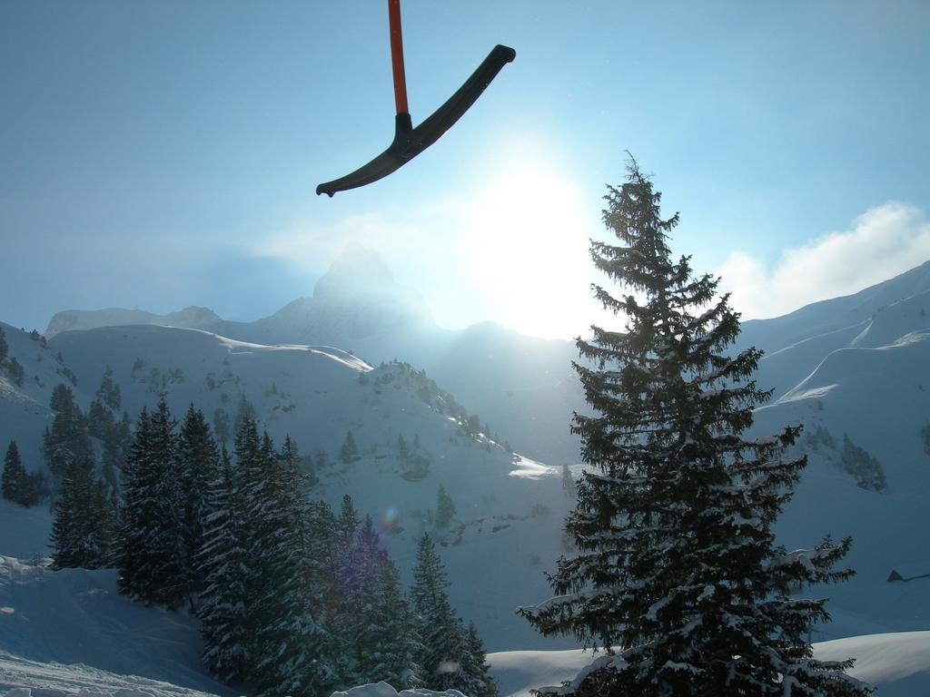 Hotel Tannenboden - Steinbock Flumserberg Bagian luar foto